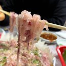 강씨횟집 이미지