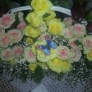 장미 수선 이미지