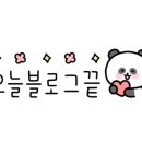 크로바경양식 이미지