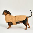 도그엔젤 이미지