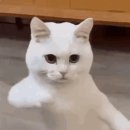 읻다의원 네이버블로그