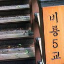 화암사 가는길 | 국내여행 완주 화암사 사찰로 가는 길이 바로 수행이며 힐링 원효와 의상이 수행한 유서 깊은 산속의 사찰