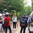 송파구 석촌호수데이트길(낮길) 이미지