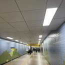 대목장 | [성남 모란시장 후기] 일정·위치·먹거리·꽃시장 정보 총정리(원주집 후기)