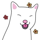 프리티파우 이미지