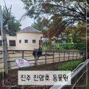 진양호 쉼터 | 아이들과 가기좋은진주 진양호 동물원 구경했어요