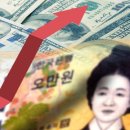 에스와이무역 이미지