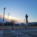 팔팔껍데기속초점 이미지