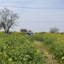 늑도마을회관 이미지