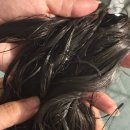 그린라이프 | 초록 탈모 방지 샴푸추천 순위 대라 라이프 그린 엑소 샴푸 솔직후기