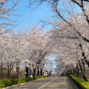 해병목장 이미지