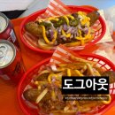 도그도그 | 홍대 핫도그 맛집 ‘도그아웃’ 비프칠리 &amp; 프랜치도그 솔직 후기! 홍대 가성비 혼밥 추천