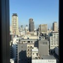임신 19주 오사카 여행 3일차/나카자키초 카페 거리, Spot카페, Green pepe, 도톤보리근처 야끼니꾸 사브로