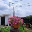 김녕안트레 이미지