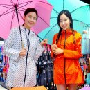 홈플러스(주)강서점 이미지