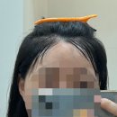 라헨느헤어라인