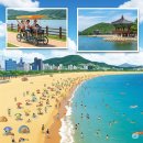 솔숲과 바다 이미지