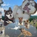 길 모퉁이 이미지