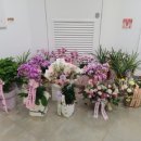 화산인쇄사
