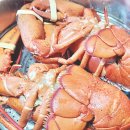 인천 락 실내바다낚시터 이미지