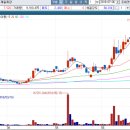 류상미 | 록펠러투자정보회사 7/6 (금) 관심종목 공부 (제일제강,광전자)