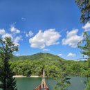 비헤브(BE HAVE) | 파주 마장호수 출렁다리 그리고 샤스타데이지와 만나는 카페 필무드와 막국수 맛집 산촌면옥