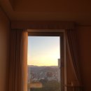 라이포트