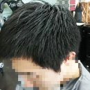 베스타헤어코디