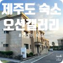 제주살이 숙소 에어비앤비 리브애니웨어 가성비 숙소 오션갤러리 호텔 앤리조트 2단지 숙박 후기 및 가격