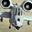 A-10 이미지