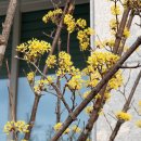 유성구 청소년수련관 1층 이미지