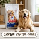 건강한 선택 | 힐스 강아지사료 대형견용 라지브리드 어덜트 건강한 선택 후기