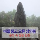 울릉성인봉관광(주) | 울릉도 성인봉 KBS중계소 코스 후기｜운무 속에서 만난 신비로운 정상 인증