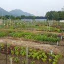 하남농장 이미지