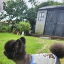 하얀고래 in 백야 이미지