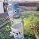 욷262 | 아이둘과 함께하는 초여름 제주여행 Day5_우도에서는 3박 하는 사람이 없다구요?