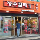 장수갈매기 이미지