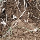 달래농장 이미지