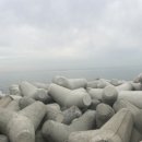 구봉횟집