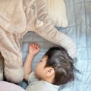 방울방울키즈펜션 이미지