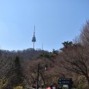 2022/04/02(토) 동국대교정-남산 북측도로 이미지