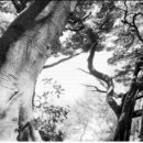 자연-문명-인간 이미지