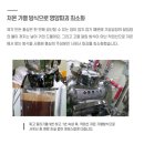 &#34;맹여사푸드 흑홍삼 청춘드림&#34; 맘스캠프 응원댓글이벤트 / 온택트 여성ceo마켓