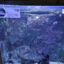 대전아쿠아리움 이미지