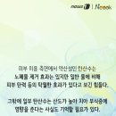 스토리쿡 이미지