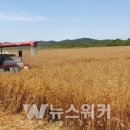 강진슈퍼 뉴스워커
