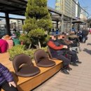 불광천변 이미지