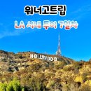 하리힐즈 | [워너고트립 미서부패키지]6일차 LA 시내 구경하기(마이리얼트립 LA 명품투어 후기)