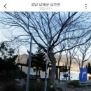 은모래매점