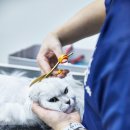 함께냥 평택점 이미지